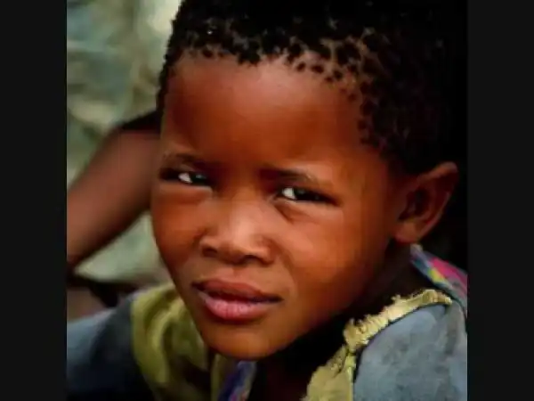 Peacocks International Band - Iwe Ewelam